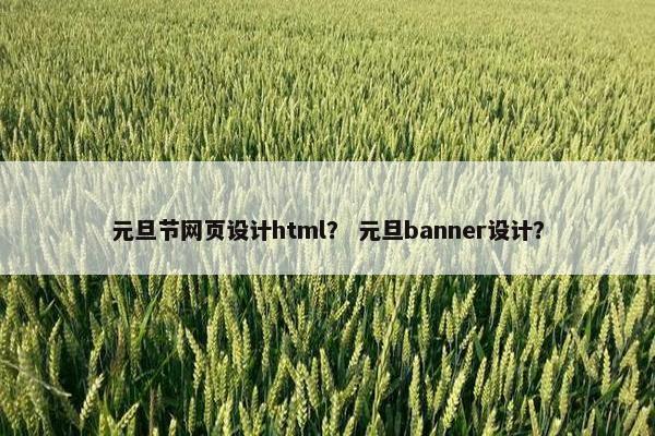 元旦节网页设计html？ 元旦banner设计？