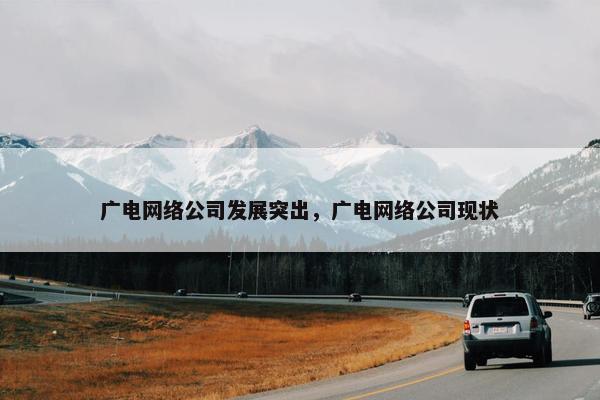 广电网络公司发展突出，广电网络公司现状