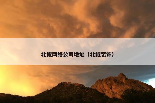 北鲲网络公司地址（北鲲装饰）