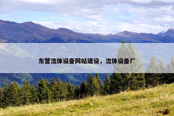 东营流体设备网站建设，流体设备厂