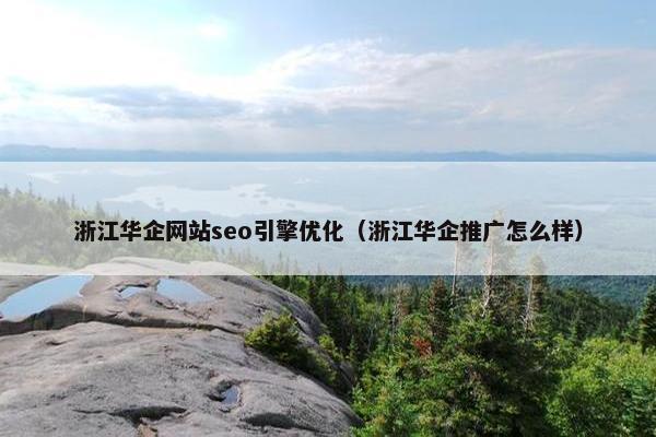 浙江华企网站seo引擎优化（浙江华企推广怎么样）