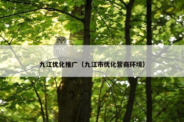 九江优化推广（九江市优化营商环境）