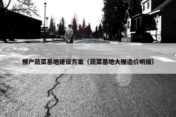 棚户蔬菜基地建设方案（蔬菜基地大棚造价明细）