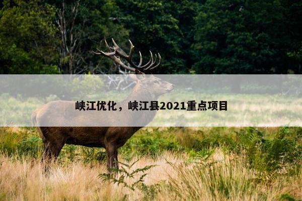 峡江优化，峡江县2021重点项目