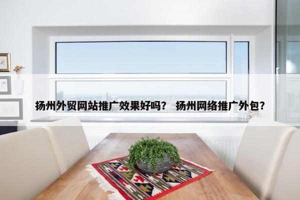 扬州外贸网站推广效果好吗？ 扬州网络推广外包？