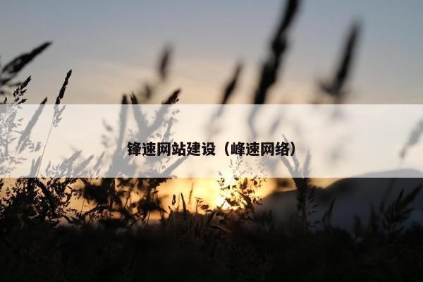 锋速网站建设（峰速网络）