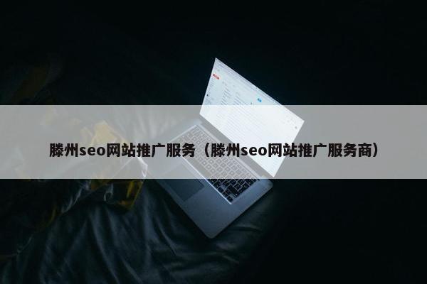 滕州seo网站推广服务（滕州seo网站推广服务商）