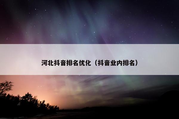 河北抖音排名优化（抖音业内排名）