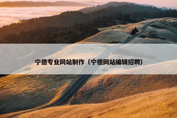 宁德专业网站制作（宁德网站编辑招聘）