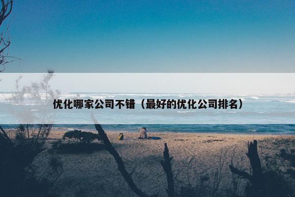 优化哪家公司不错（最好的优化公司排名）