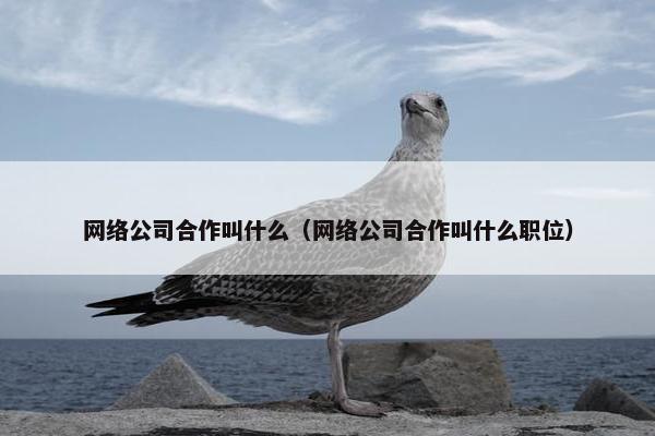 网络公司合作叫什么（网络公司合作叫什么职位）