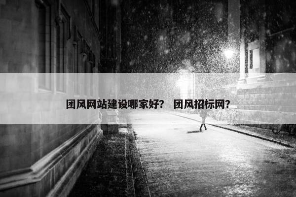团风网站建设哪家好？ 团风招标网？