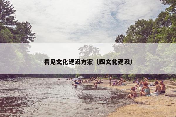 看见文化建设方案（四文化建设）