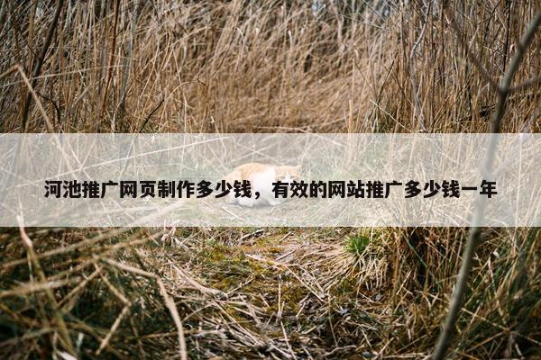 河池推广网页制作多少钱，有效的网站推广多少钱一年