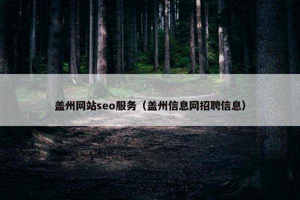 盖州网站seo服务（盖州信息网招聘信息）