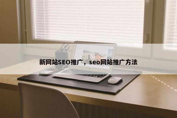 新网站SEO推广，seo网站推广方法