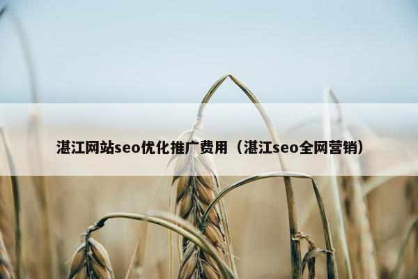 湛江网站seo优化推广费用（湛江seo全网营销）