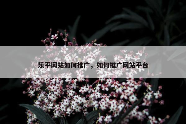 乐平网站如何推广，如何推广网站平台