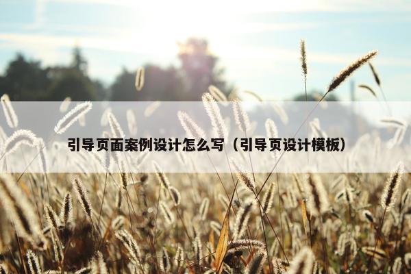 引导页面案例设计怎么写（引导页设计模板）