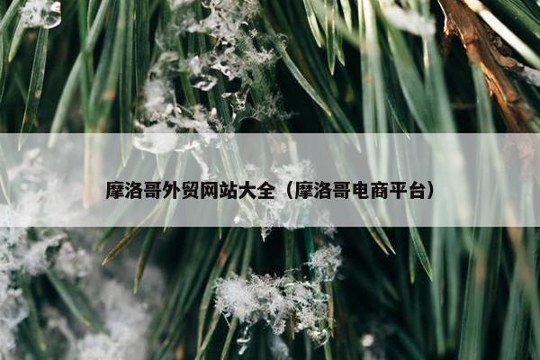 摩洛哥外贸网站大全（摩洛哥电商平台）