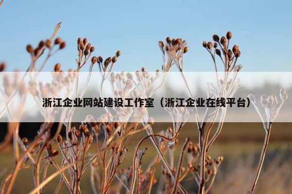 浙江企业网站建设工作室（浙江企业在线平台）