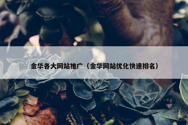 金华各大网站推广（金华网站优化快速排名）