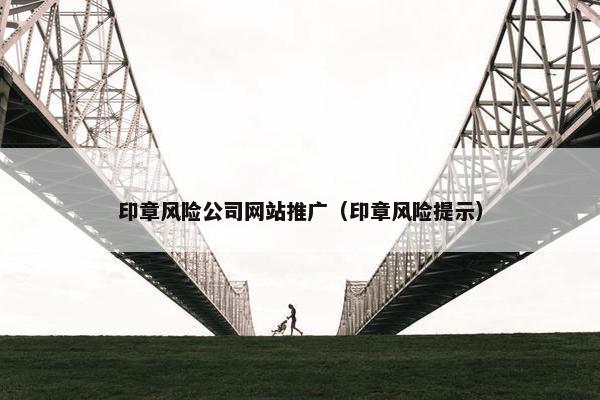 印章风险公司网站推广（印章风险提示）