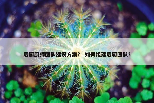 后厨厨师团队建设方案？ 如何组建后厨团队？