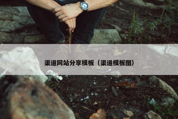 渠道网站分享模板（渠道模板图）