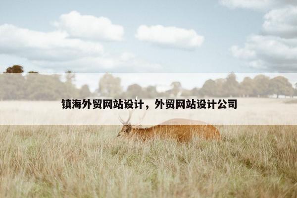 镇海外贸网站设计，外贸网站设计公司