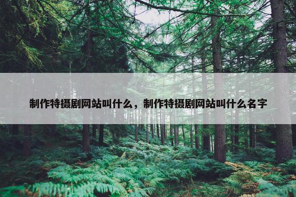 制作特摄剧网站叫什么，制作特摄剧网站叫什么名字
