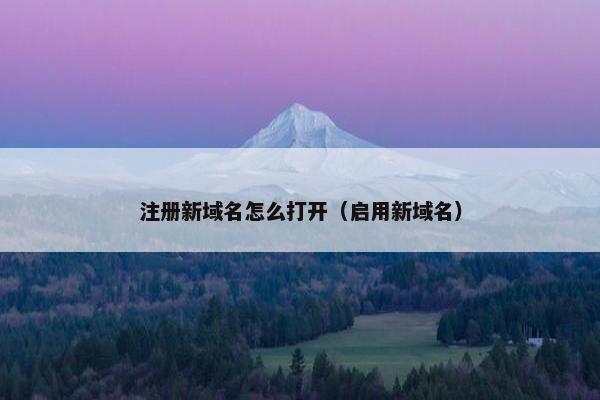 注册新域名怎么打开（启用新域名）