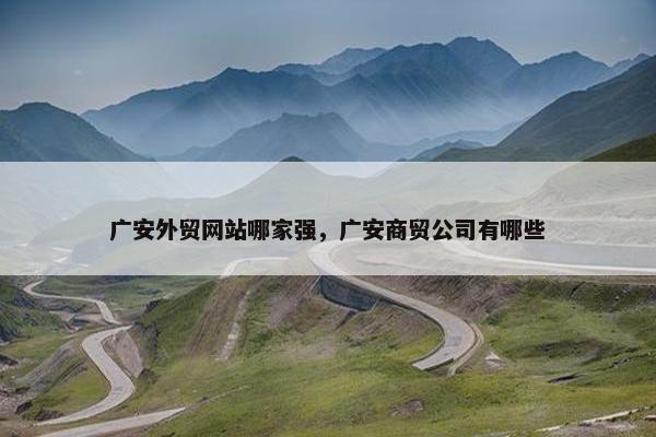 广安外贸网站哪家强，广安商贸公司有哪些