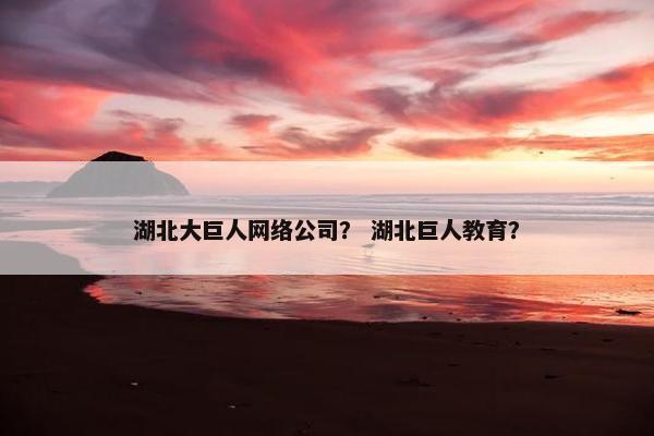 湖北大巨人网络公司？ 湖北巨人教育？