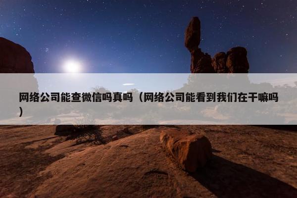 网络公司能查微信吗真吗（网络公司能看到我们在干嘛吗）