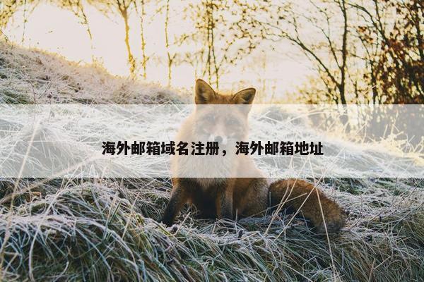 海外邮箱域名注册，海外邮箱地址