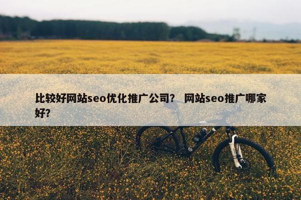 比较好网站seo优化推广公司？ 网站seo推广哪家好？