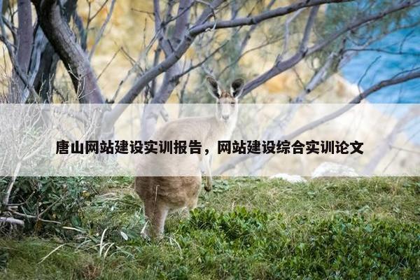 唐山网站建设实训报告，网站建设综合实训论文