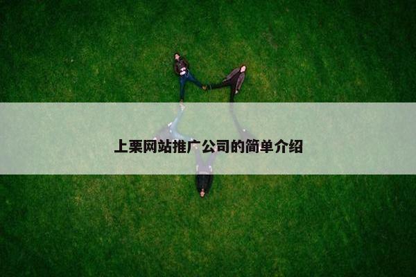 上栗网站推广公司的简单介绍