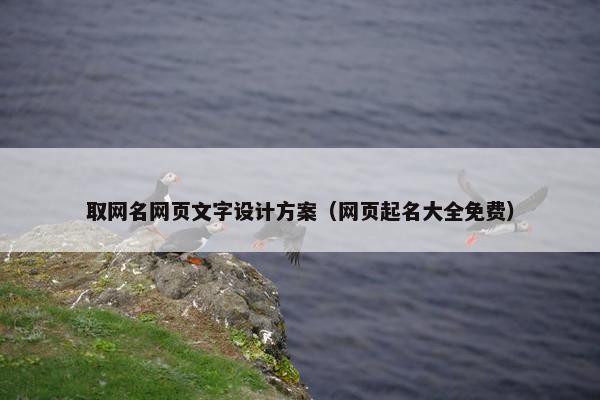 取网名网页文字设计方案（网页起名大全免费）
