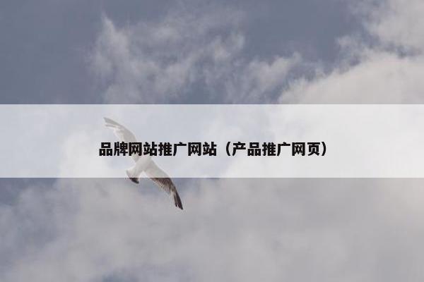品牌网站推广网站（产品推广网页）