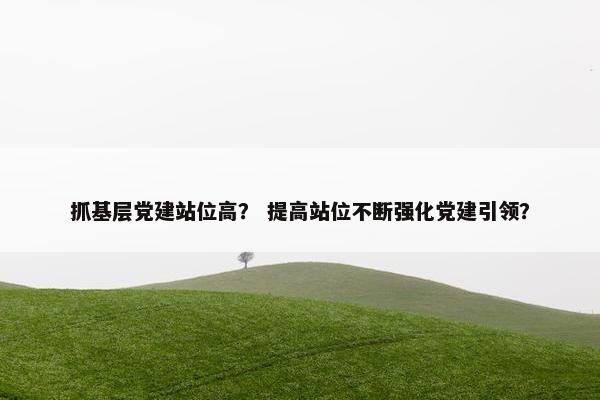 抓基层党建站位高？ 提高站位不断强化党建引领？