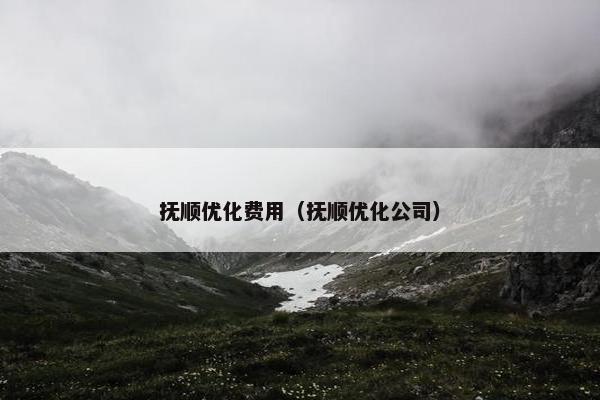 抚顺优化费用（抚顺优化公司）