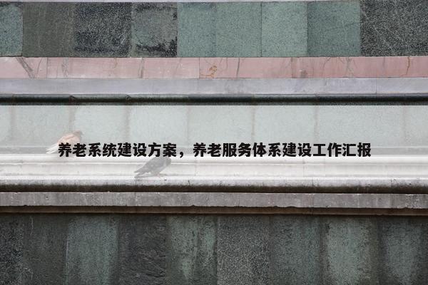 养老系统建设方案，养老服务体系建设工作汇报