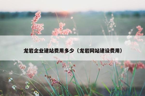 龙岩企业建站费用多少（龙岩网站建设费用）