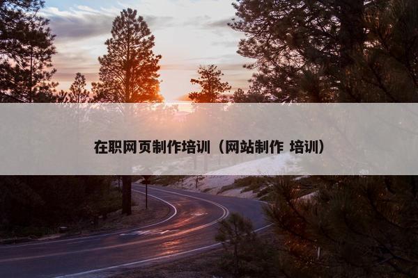 在职网页制作培训（网站制作 培训）
