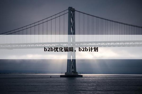 b2b优化骗局，b2b计划