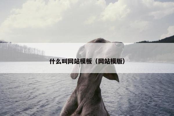什么叫网站模板（网站模版）