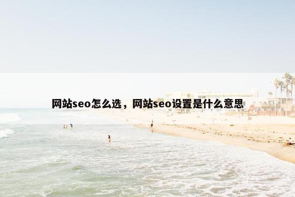 网站seo怎么选，网站seo设置是什么意思