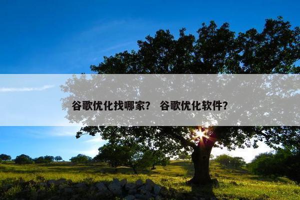 谷歌优化找哪家？ 谷歌优化软件？